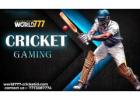World777 Cricket Demo ID for Safe Preview of Live Cricket Updates.